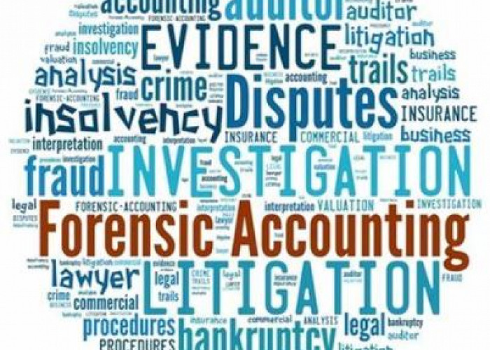 Forensic Accounting and Fraud Investigation for Non-Expert