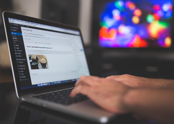 Website Development: WordPress